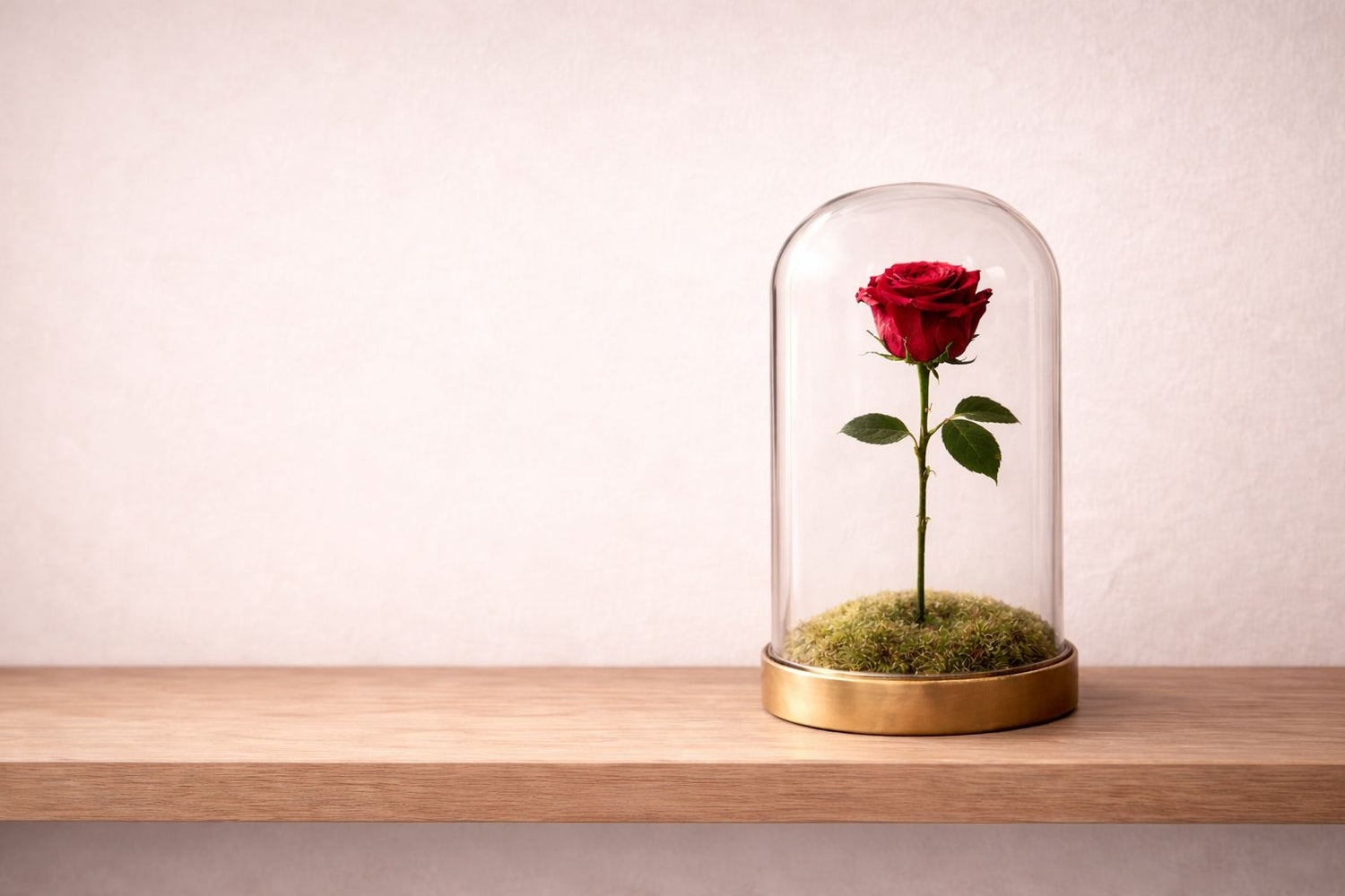 PERMANECER | Rosas Eternas