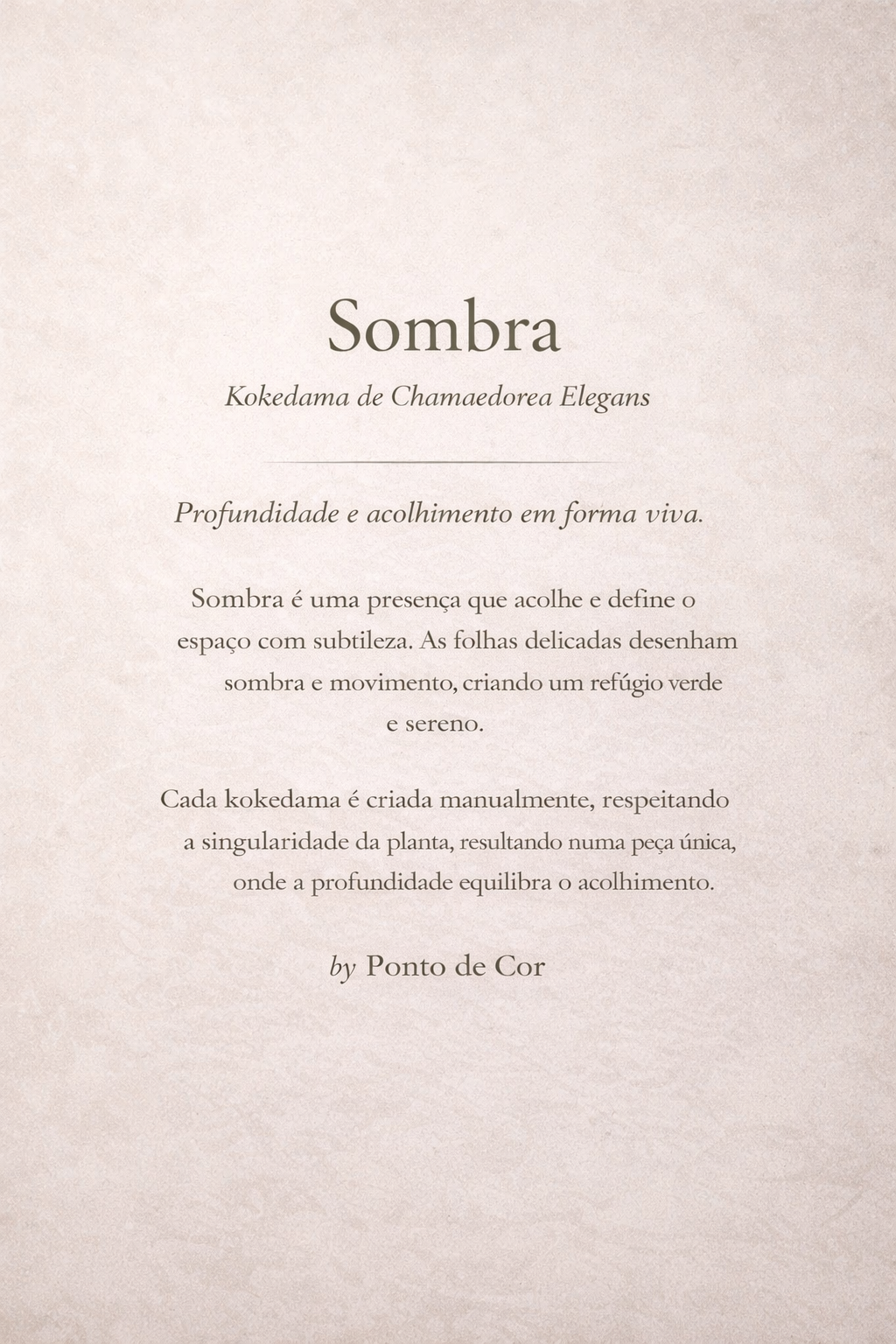 Sombra | Kokedama de Chamaedorea