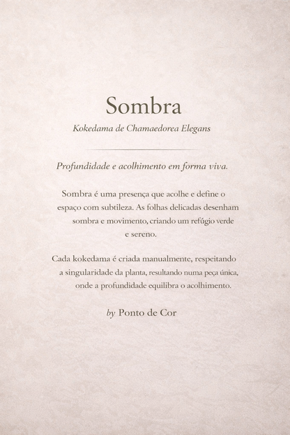 Sombra | Kokedama de Chamaedorea