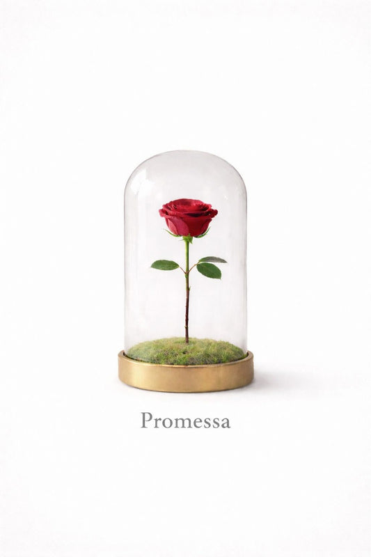 PROMESSA | Rosa Eterna