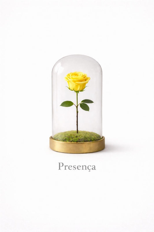 PRESENÇA | Rosa Eterna