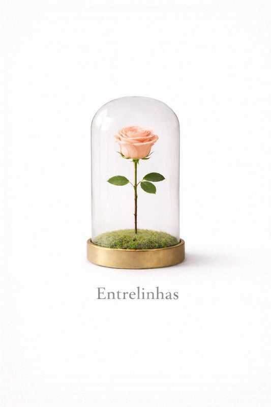 ENTRELINHAS | Rosa Eterna